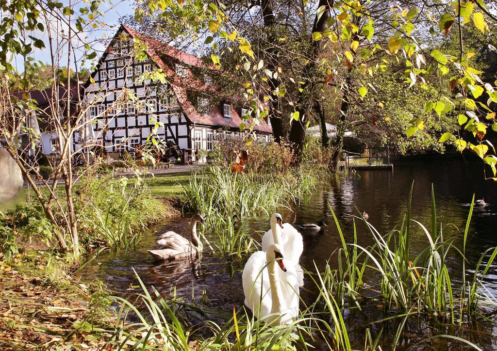 Отель Springbach-Muehle Бельциг Экстерьер фото